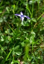IMGP6001-1024~1.jpg