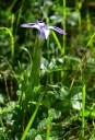 IMGP6004-1024~0.jpg