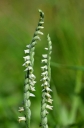 IMGP6014-1024~1.jpg