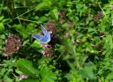 IMGP6015-1024~0.jpg