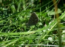 IMGP6021-1024.jpg