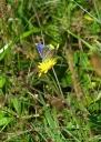 IMGP6022-1024~0.jpg
