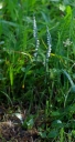 IMGP6023-1024.jpg