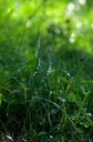 IMGP6029-1024~2.jpg
