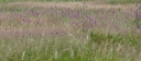 Název souboru=IMGP6127-1024~3.jpg
Velikost souboru=230KB
Rozměry=1024x452
Datum přidání=08. Červenec 2019 IMGP6127-1024~3.jpg