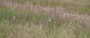 Název souboru=IMGP6161-1024~4.jpg
Velikost souboru=218KB
Rozměry=1024x445
Datum přidání=08. Červenec 2019 IMGP6161-1024~4.jpg