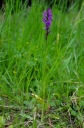 IMGP6297-1024.jpg