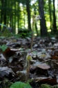 IMGP6400-1024~0.jpg