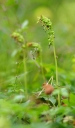 IMGP6553-1024~0.jpg
