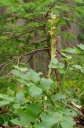IMGP6573-1024~0.jpg