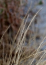 Název souboru=IMGP6729-1024~2.jpg
Velikost souboru=225KB
Rozměry=736x1024
Datum přidání=23. Červenec 2019 IMGP6729-1024~2.jpg