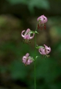 IMGP7014-1024~0.jpg