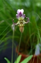 IMGP7310-1024~0.jpg