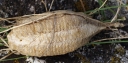 IMGP7811-1024.jpg