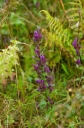 IMGP7842-1024.jpg