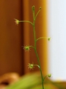 IMGP7938-1024.jpg