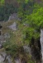 Název souboru=IMGP8719-1024.jpg
Velikost souboru=516KB
Rozměry=699x1024
Datum přidání=17. Duben 2017 IMGP8719-1024.jpg