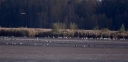 Název souboru=IMGP9320-1024~4.jpg
Velikost souboru=182KB
Rozměry=1024x499
Datum přidání=29. Říjen 2019 IMGP9320-1024~4.jpg