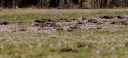 Název souboru=IMGP9455-1024.jpg
Velikost souboru=253KB
Rozměry=1024x467
Datum přidání=21. Březen 2015 IMGP9455-1024.jpg