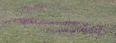 Název souboru=IMGP9634-1024~2.jpg
Velikost souboru=308KB
Rozměry=1024x390
Datum přidání=26. Duben 2019 IMGP9634-1024~2.jpg