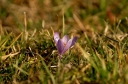 IMGP9645-1024.jpg