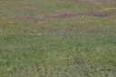 Název souboru=IMGP9647-1024~2.jpg
Velikost souboru=449KB
Rozměry=1024x680
Datum přidání=26. Duben 2019 IMGP9647-1024~2.jpg