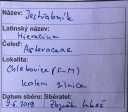 Název souboru=IMGP9673-1024~3.jpg
Velikost souboru=383KB
Rozměry=1024x896
Datum přidání=17. Prosinec 2019 IMGP9673-1024~3.jpg