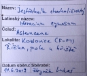 Název souboru=IMGP9676-1024~3.jpg
Velikost souboru=353KB
Rozměry=1024x893
Datum přidání=17. Prosinec 2019 IMGP9676-1024~3.jpg