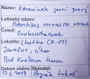 Název souboru=IMGP9680-1024~2.jpg
Velikost souboru=362KB
Rozměry=1024x905
Datum přidání=17. Prosinec 2019 IMGP9680-1024~2.jpg