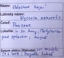 Název souboru=IMGP9686-1024~2.jpg
Velikost souboru=396KB
Rozměry=1024x928
Datum přidání=17. Prosinec 2019 IMGP9686-1024~2.jpg