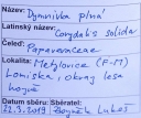 Název souboru=IMGP9688-1024~0.jpg
Velikost souboru=297KB
Rozměry=1024x861
Datum přidání=17. Prosinec 2019 IMGP9688-1024~0.jpg