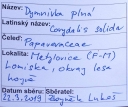 Název souboru=IMGP9689-1024~3.jpg
Velikost souboru=314KB
Rozměry=1024x860
Datum přidání=17. Prosinec 2019 IMGP9689-1024~3.jpg