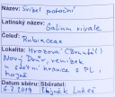 Název souboru=IMGP9693-1024~3.jpg
Velikost souboru=259KB
Rozměry=1024x867
Datum přidání=17. Prosinec 2019 IMGP9693-1024~3.jpg