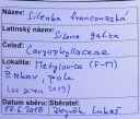 Název souboru=IMGP9701-1024~2.jpg
Velikost souboru=330KB
Rozměry=1024x872
Datum přidání=17. Prosinec 2019 IMGP9701-1024~2.jpg