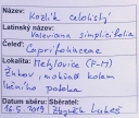 Název souboru=IMGP9705-1024~0.jpg
Velikost souboru=293KB
Rozměry=1024x868
Datum přidání=17. Prosinec 2019 IMGP9705-1024~0.jpg