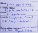 Název souboru=IMGP9710-1024~1.jpg
Velikost souboru=314KB
Rozměry=1024x894
Datum přidání=17. Prosinec 2019 IMGP9710-1024~1.jpg