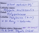 Název souboru=IMGP9711-1024~1.jpg
Velikost souboru=311KB
Rozměry=1024x883
Datum přidání=17. Prosinec 2019 IMGP9711-1024~1.jpg