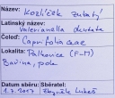 Název souboru=IMGP9714-1024~4.jpg
Velikost souboru=308KB
Rozměry=1024x887
Datum přidání=17. Prosinec 2019 IMGP9714-1024~4.jpg