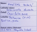 Název souboru=IMGP9715-1024~0.jpg
Velikost souboru=305KB
Rozměry=1024x887
Datum přidání=17. Prosinec 2019 IMGP9715-1024~0.jpg
