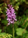 IMGP9987-1024~0.jpg