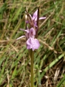 P6285005-1024.jpg
