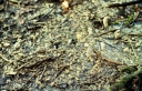 Název souboru=img162-1024.jpg
Velikost souboru=420KB
Rozměry=1024x658
Datum přidání=29. Březen 2016 img162-1024.jpg