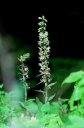 IMGP7034-1024.jpg