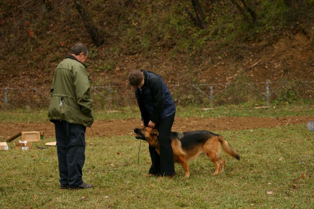 IMG_4399-1024.jpg