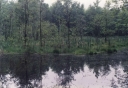 Kamenec_u_Dobre-1024.jpg