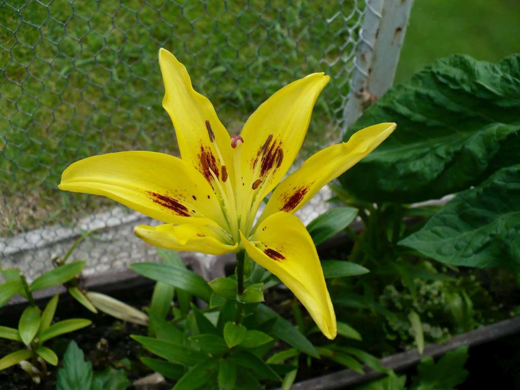 P1000120-1024.jpg