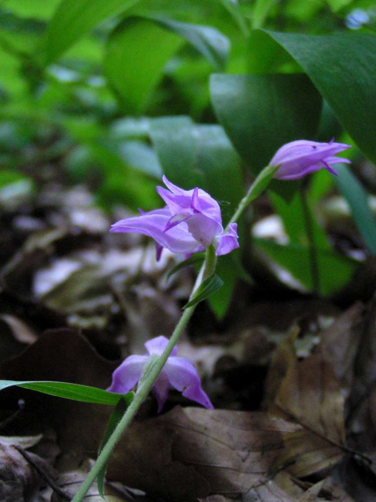 P1010016-1024~2.jpg