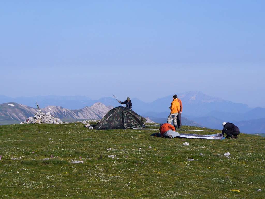 P1020939-1024.jpg