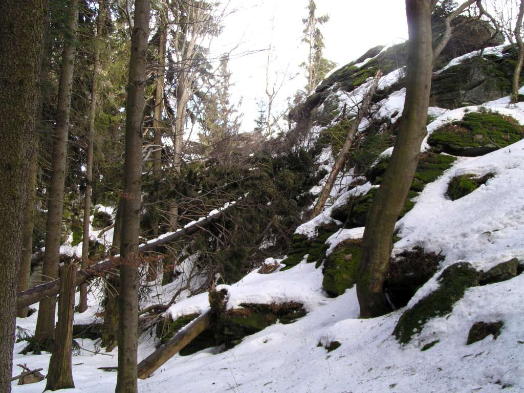 P3010019-1024.jpg