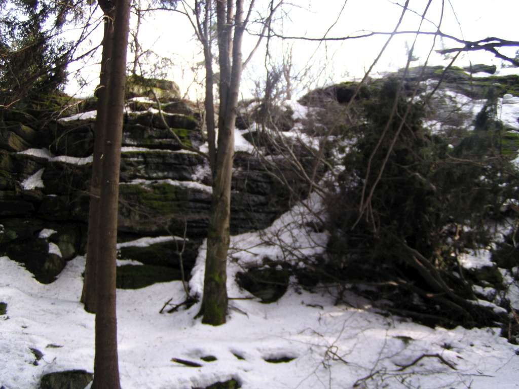 P3010020-1024.jpg